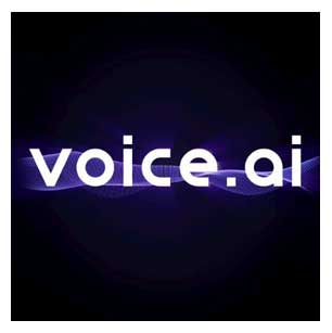 Voice AI AI